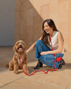 Hands-Free Dog Leash product image 9