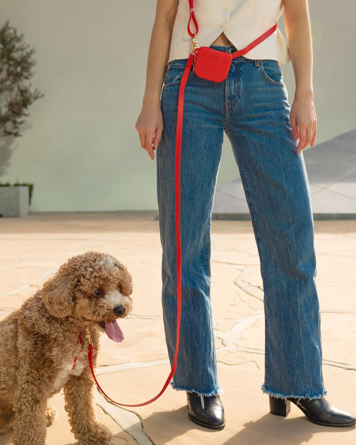 Hands-Free Dog Leash product image 10