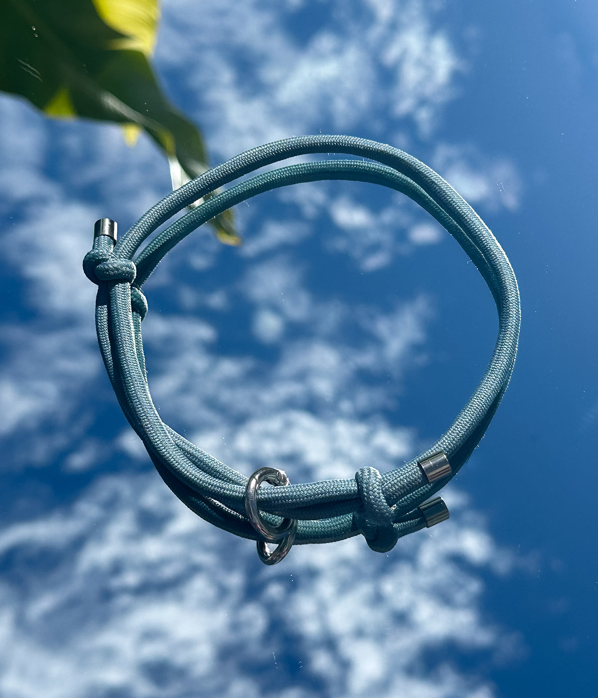 Dog Collar product image 1