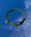 Dog Collar product image 1