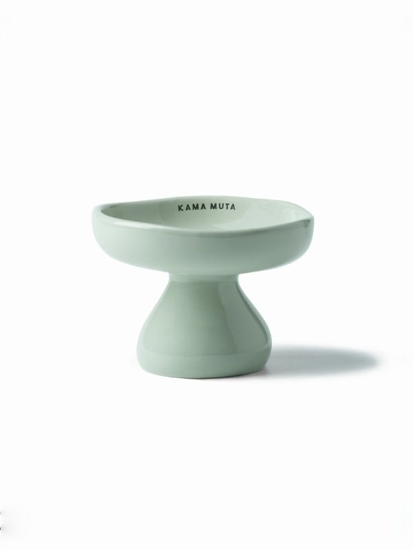 Elevated Ceramic Pet Bowl product image 10