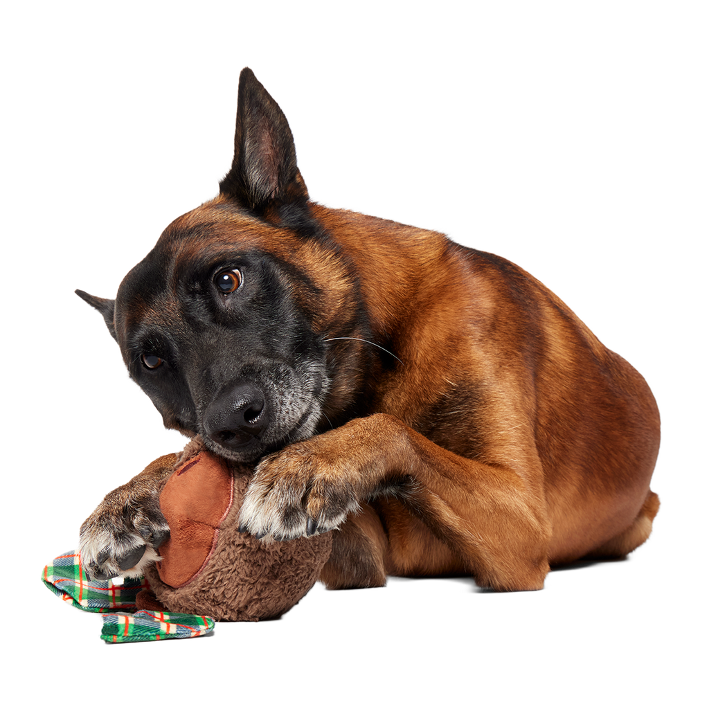 Two-Layer Plush Dog Toy product image 3