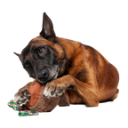 Two-Layer Plush Dog Toy product image 3