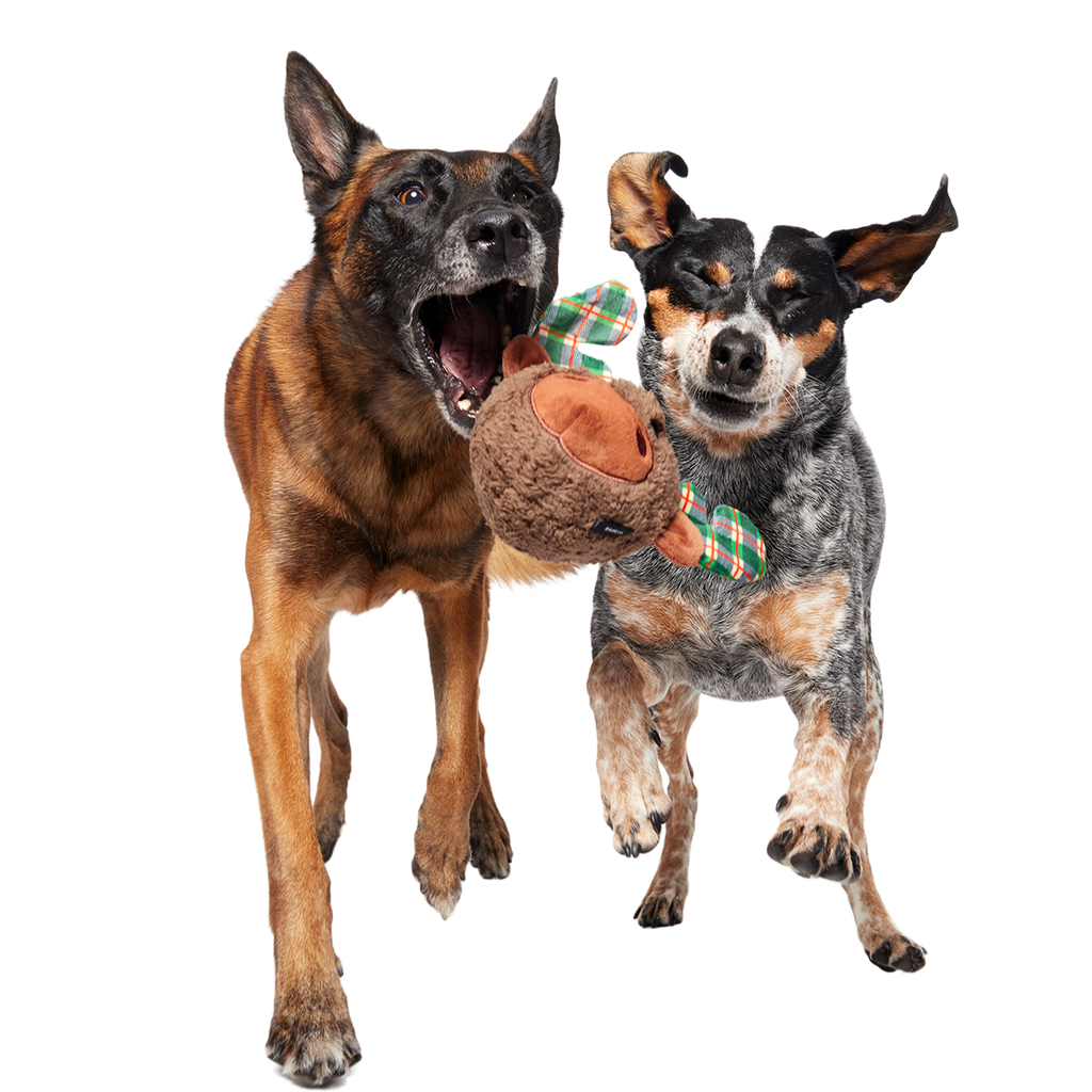 Two-Layer Plush Dog Toy product image 4
