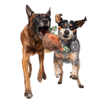 Two-Layer Plush Dog Toy product image 4
