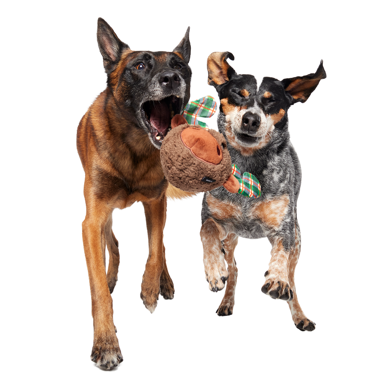 Two-Layer Plush Dog Toy product image 4