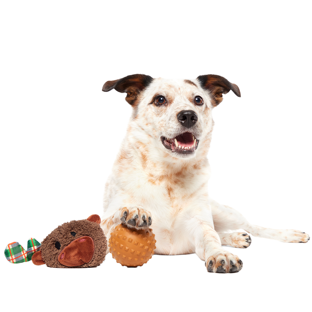 Two-Layer Plush Dog Toy product image 5