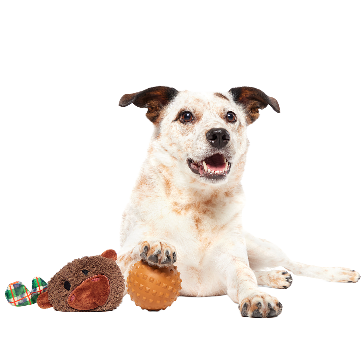 Two-Layer Plush Dog Toy product image 5