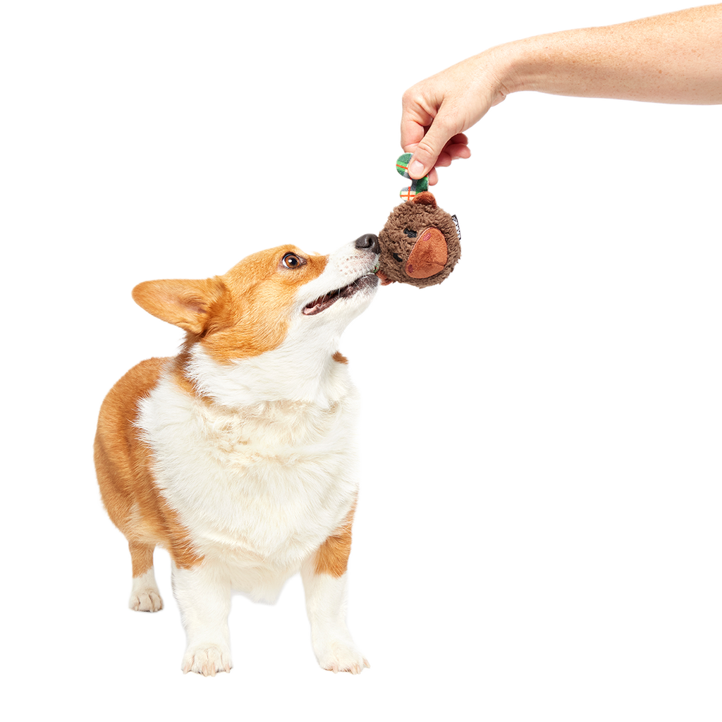 Two-Layer Plush Dog Toy product image 6