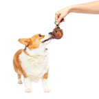 Two-Layer Plush Dog Toy product image 6