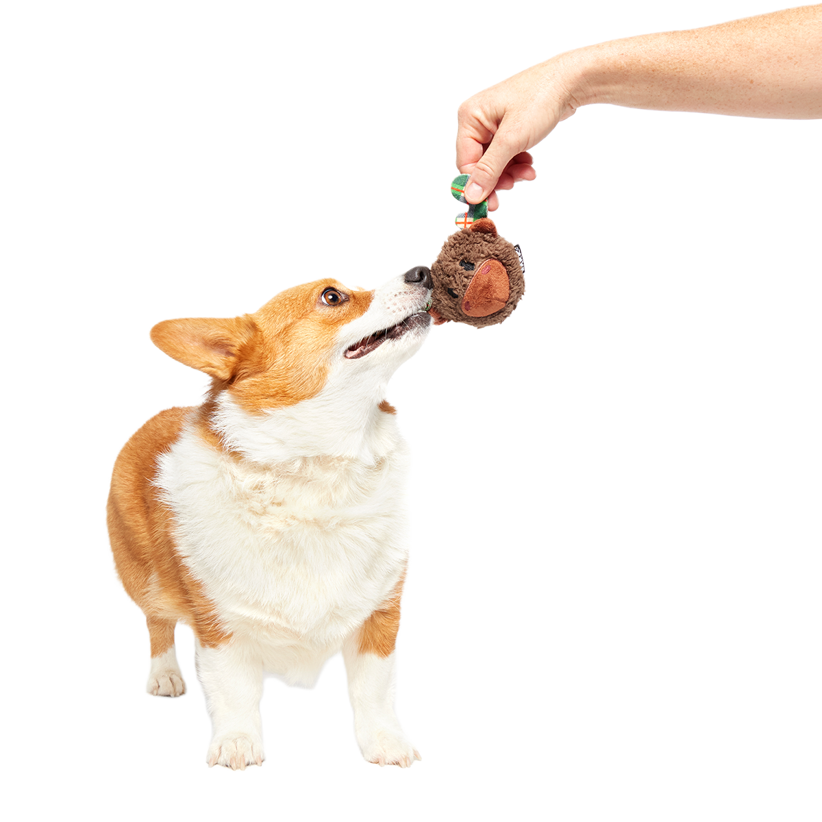 Two-Layer Plush Dog Toy product image 6