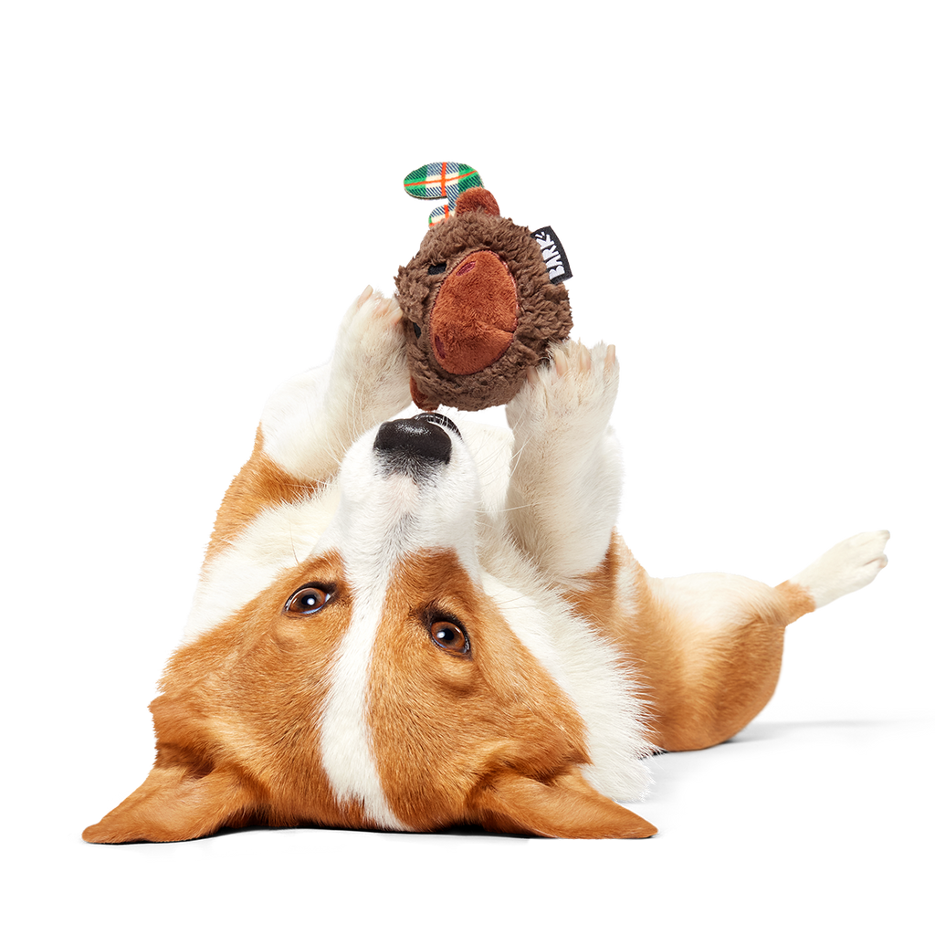 Two-Layer Plush Dog Toy product image 7