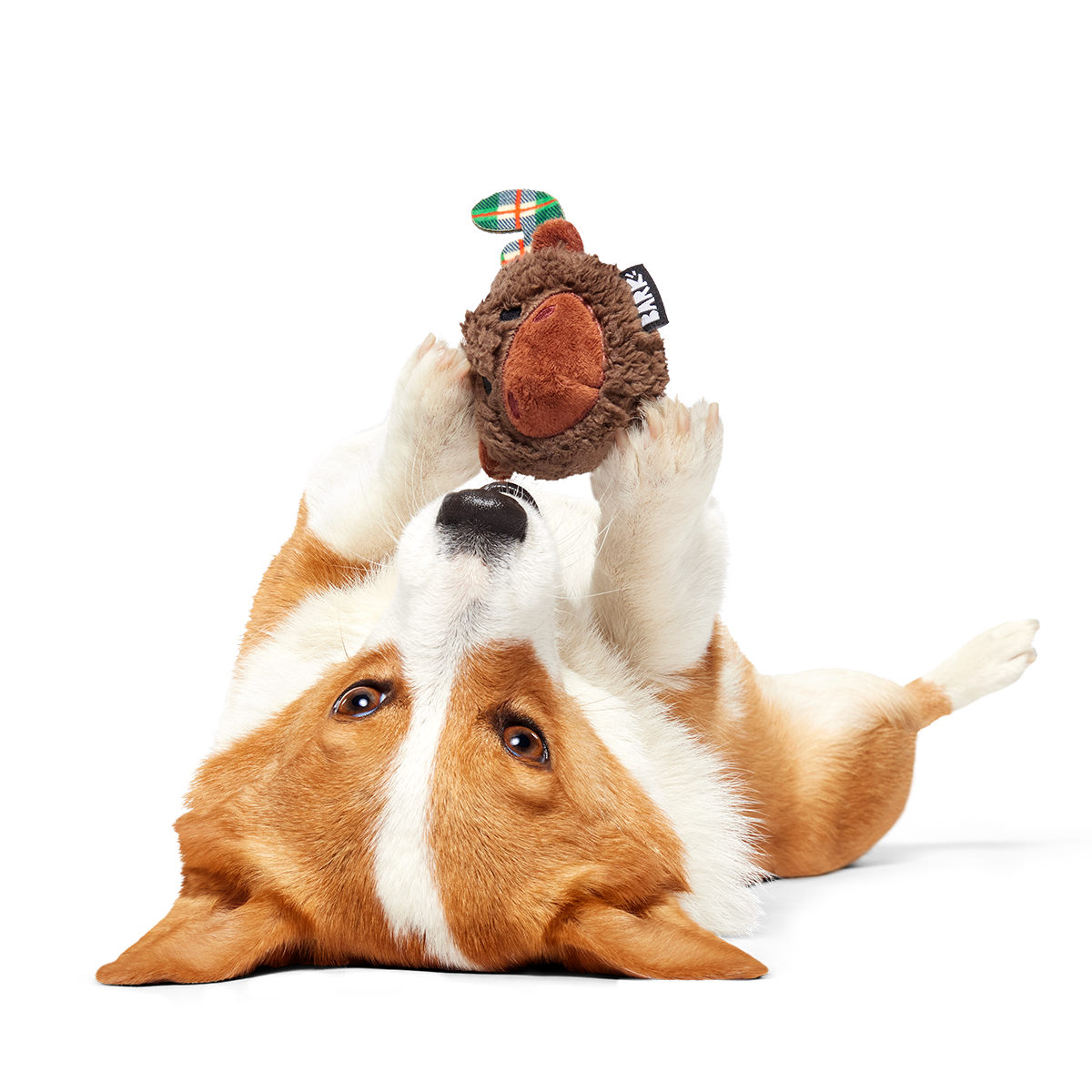 Two-Layer Plush Dog Toy product image 7