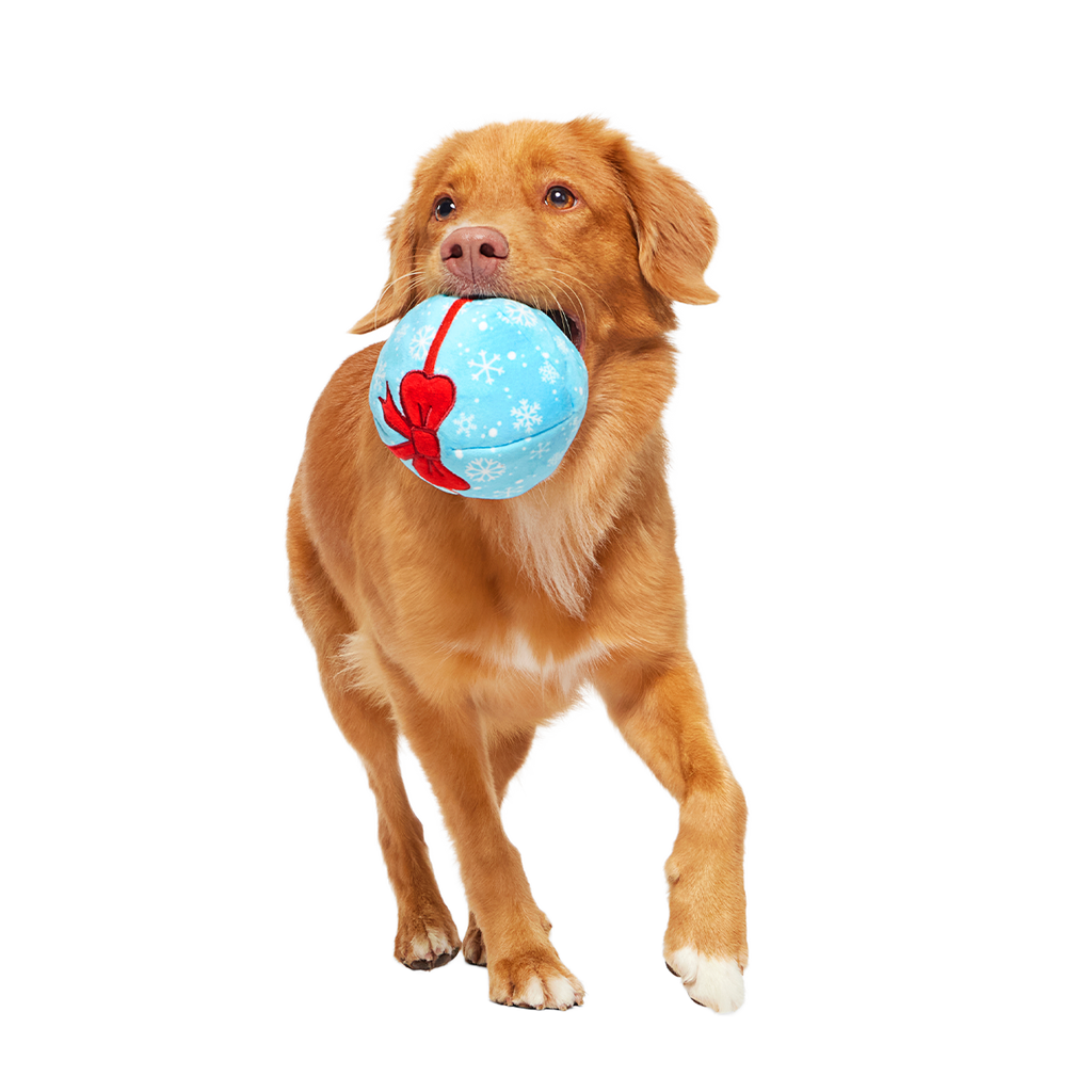 Dog Fetch Ball product image 2