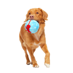 Dog Fetch Ball product image 2
