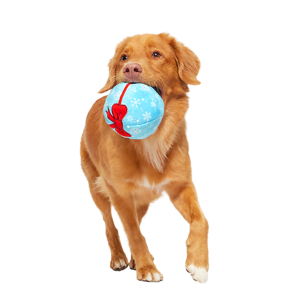 Dog Fetch Ball product image 2