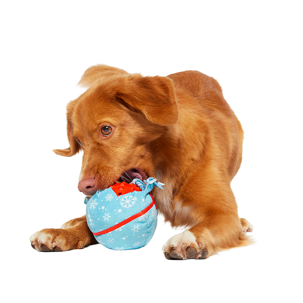 Dog Fetch Ball product image 3