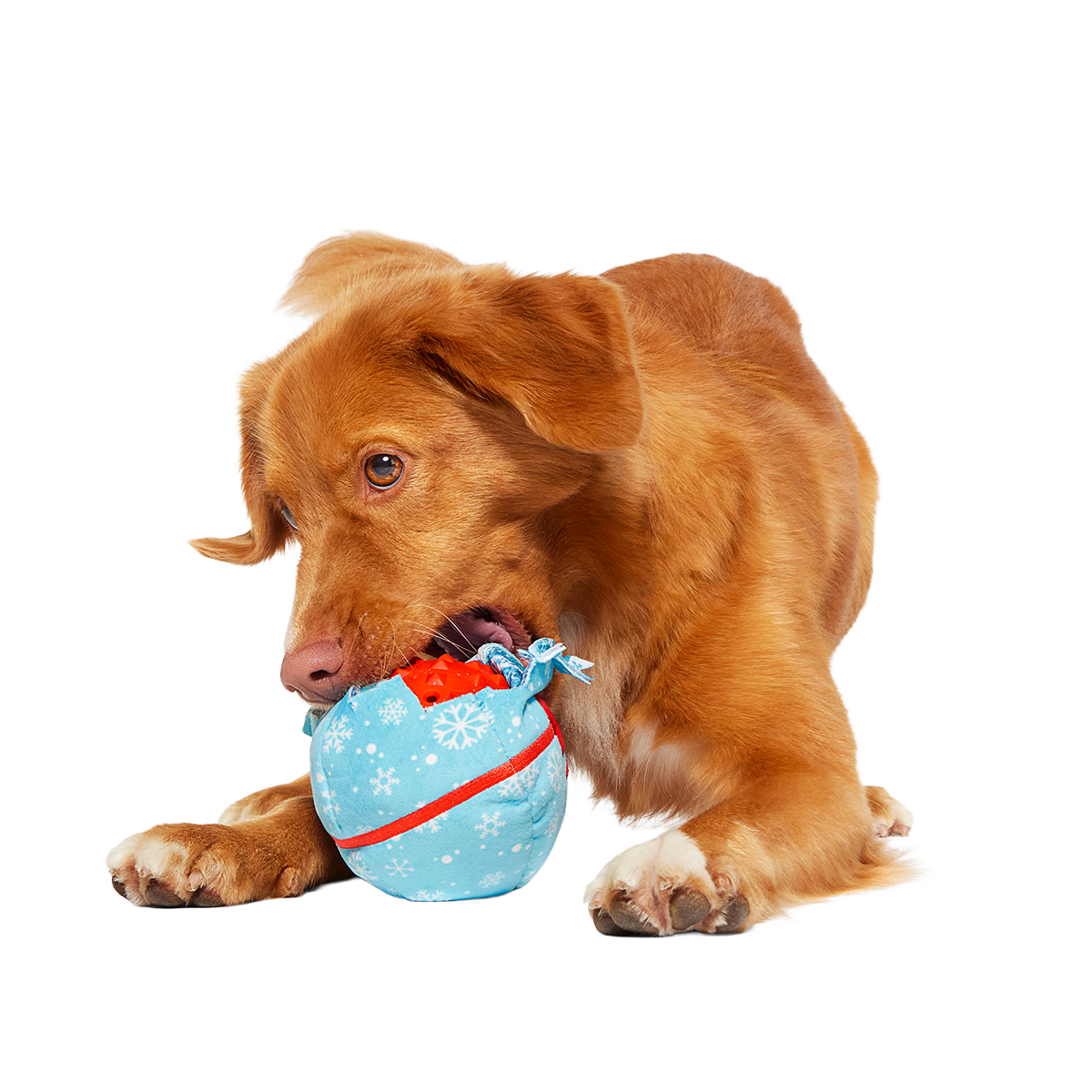 Dog Fetch Ball product image 3
