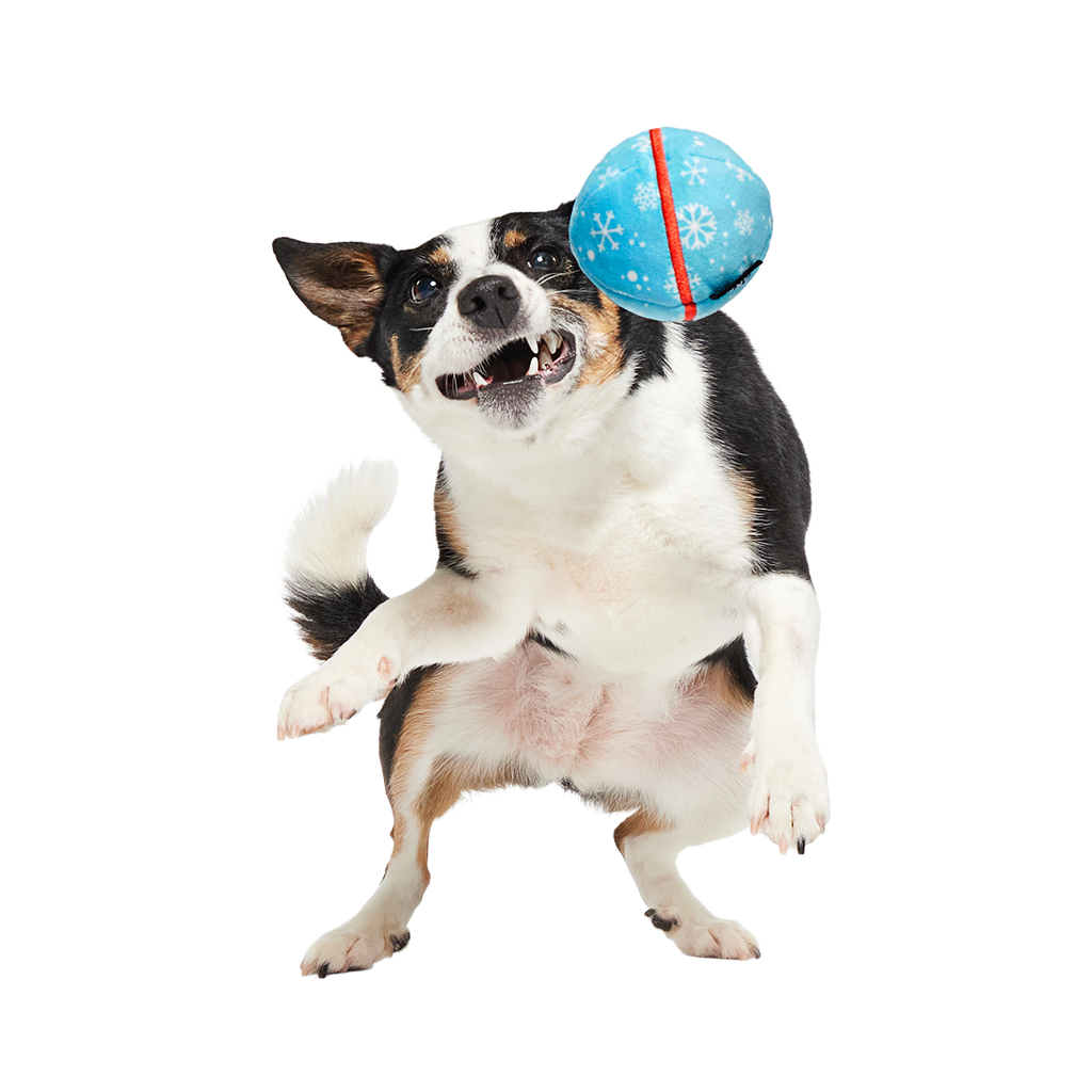 Dog Fetch Ball product image 4