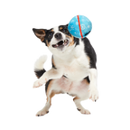 Dog Fetch Ball product image 4