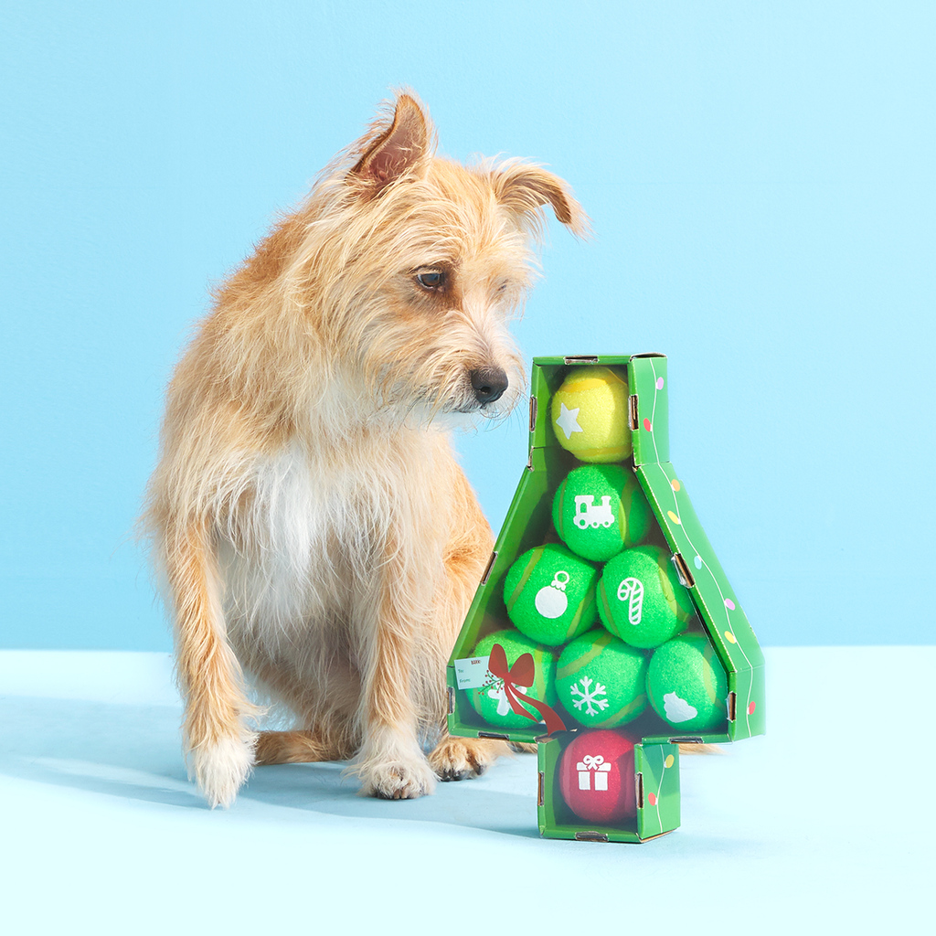 Dog Toys product image 2