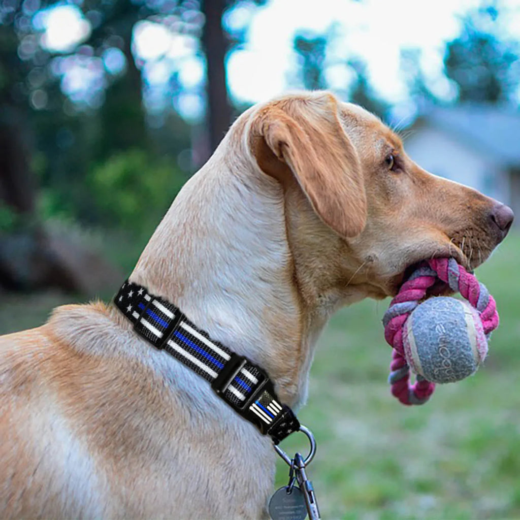 Stars and Stripes Dog Collar product image 3