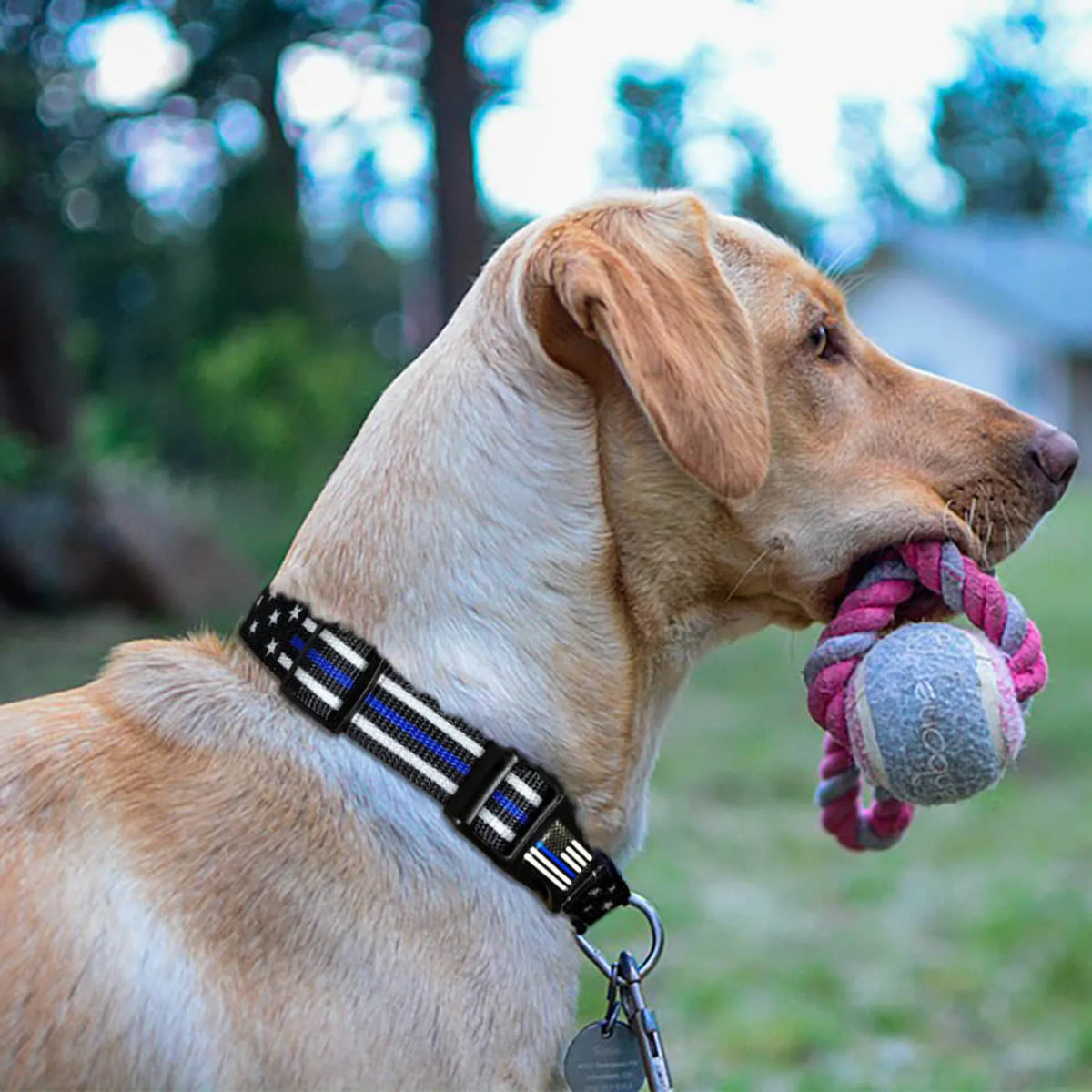 Stars and Stripes Dog Collar product image 3
