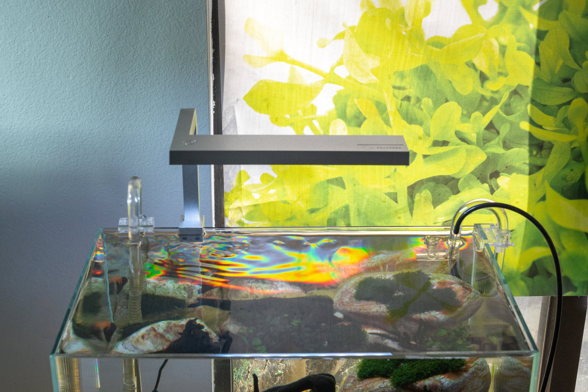Rim-Mounted Nano LED Aquarium Light product image 3