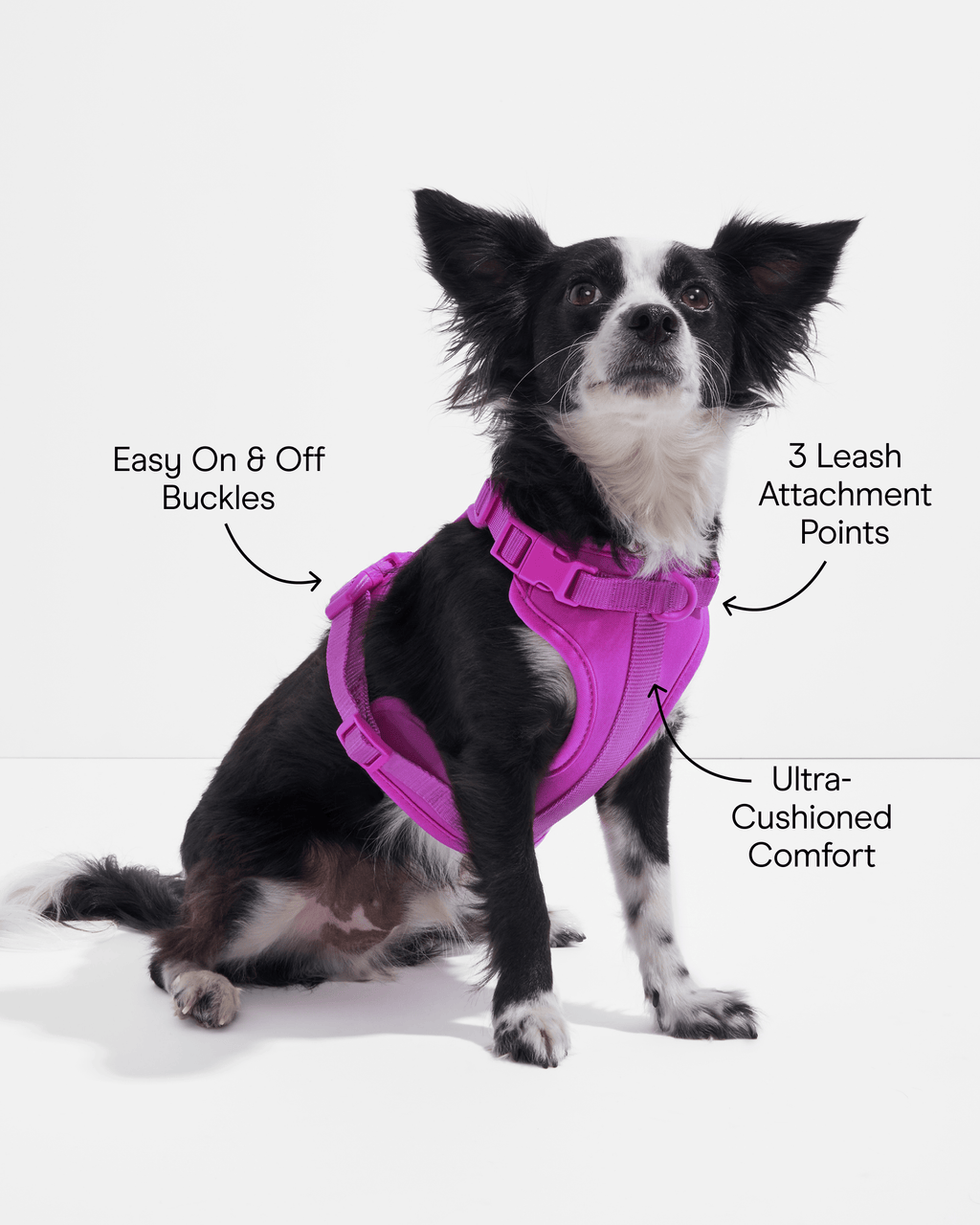 Cushioned No-Pull Dog Harness product image 55
