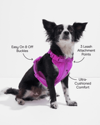 Cushioned No-Pull Dog Harness product image 55