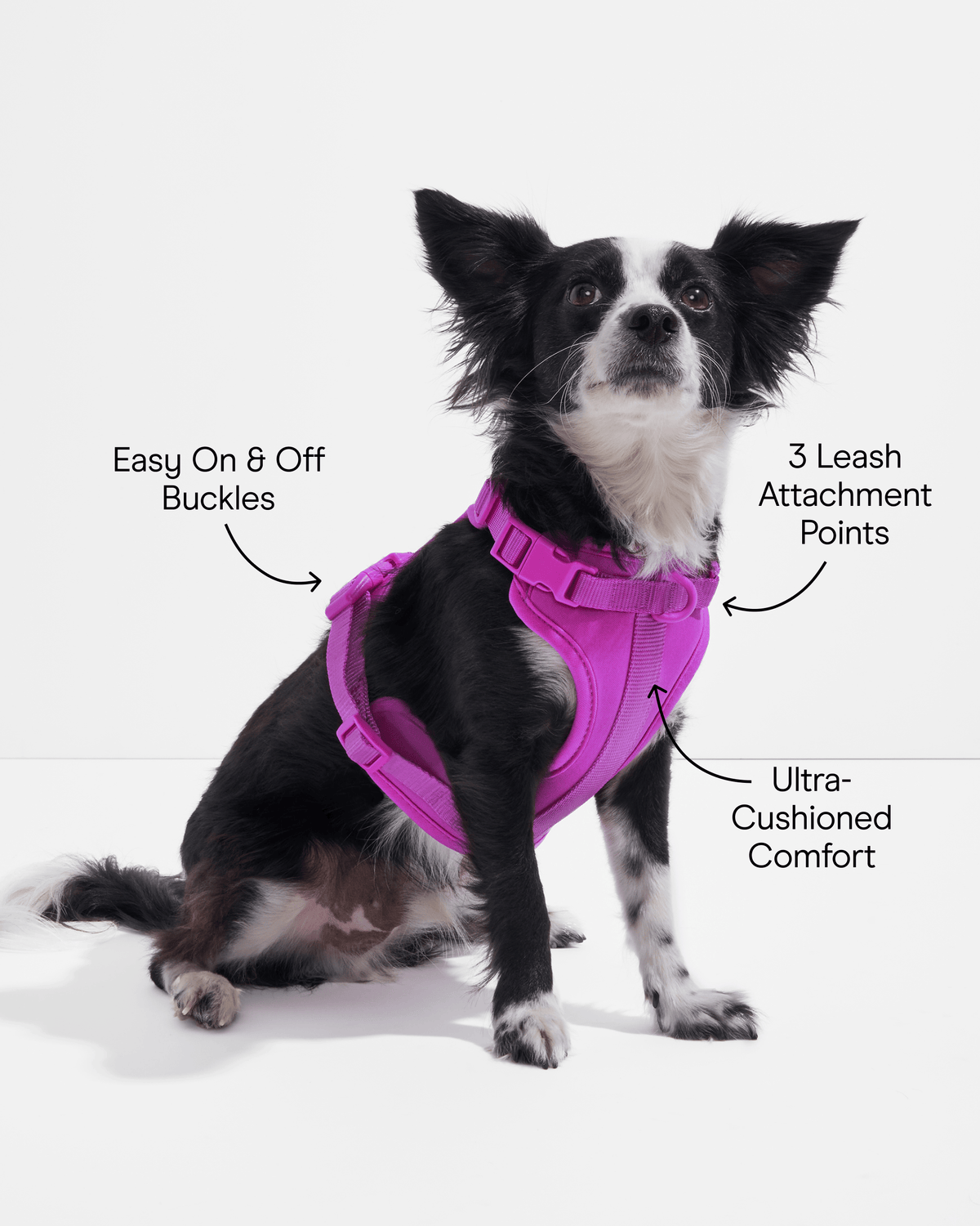 Cushioned No-Pull Dog Harness product image 55