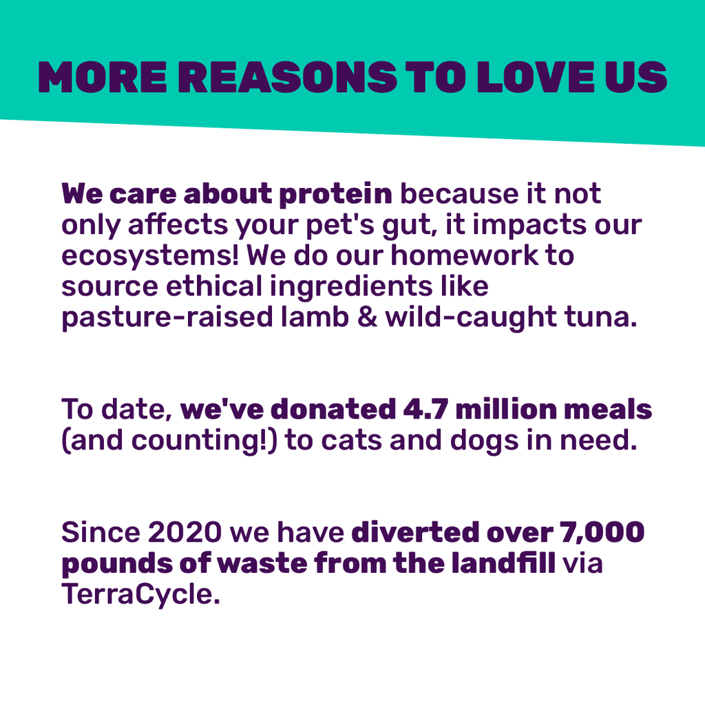 Dry Cat Food product image 5