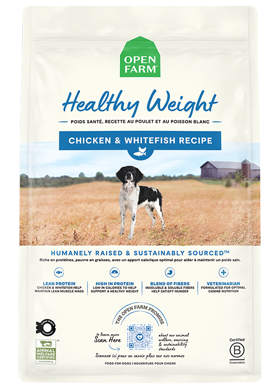 Dry Dog Food product image 1