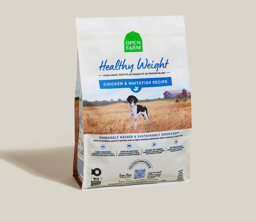 Dry Dog Food product image 2
