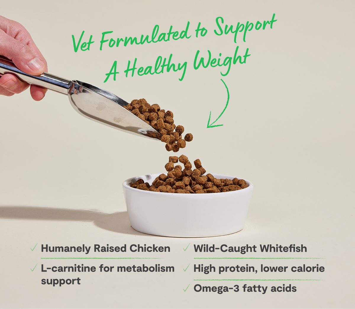 Dry Dog Food product image 5