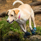 Dog Boots product image 8
