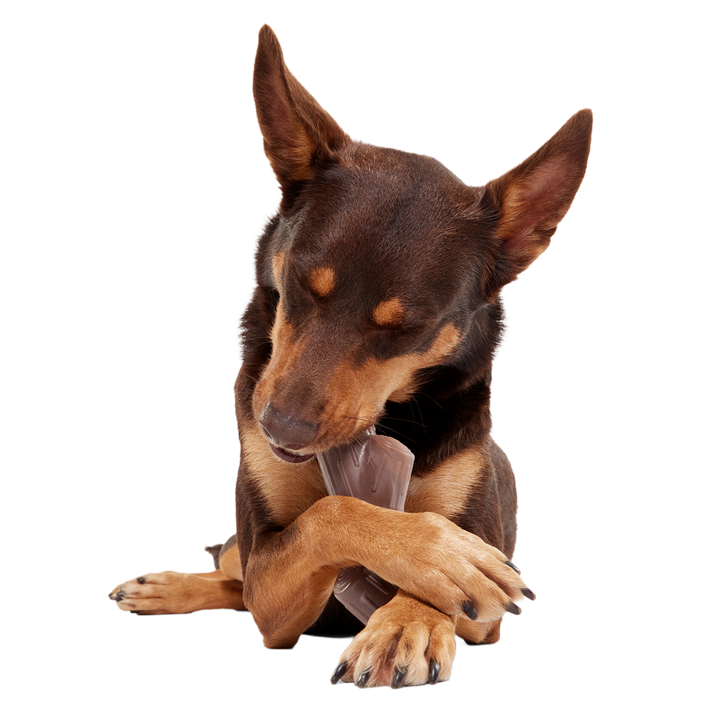 Nylon Dog Toy product image 2