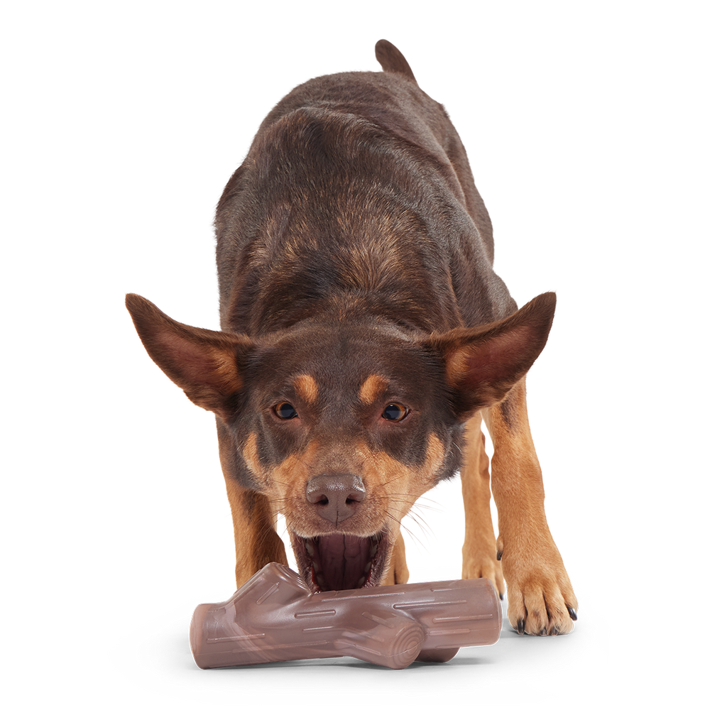 Nylon Dog Toy product image 3