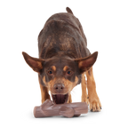 Nylon Dog Toy product image 3