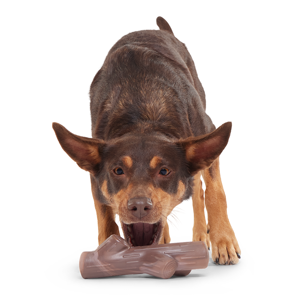 Nylon Dog Toy product image 3