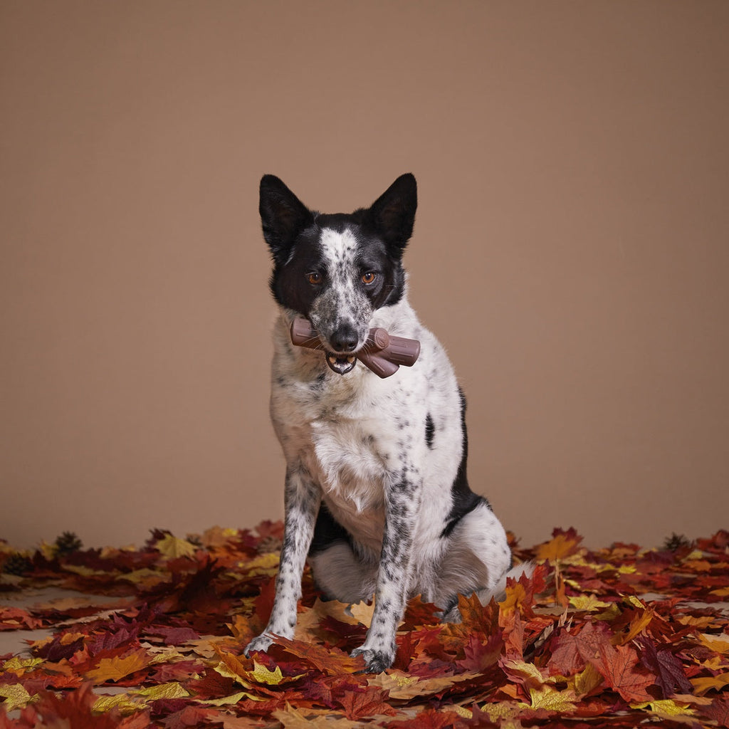Nylon Dog Toy product image 5