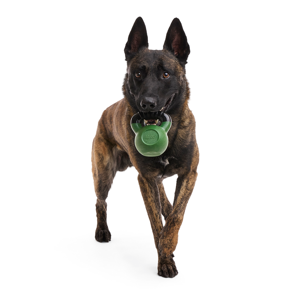 Kettlebell Dog Toy product image 2