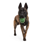 Kettlebell Dog Toy product image 2