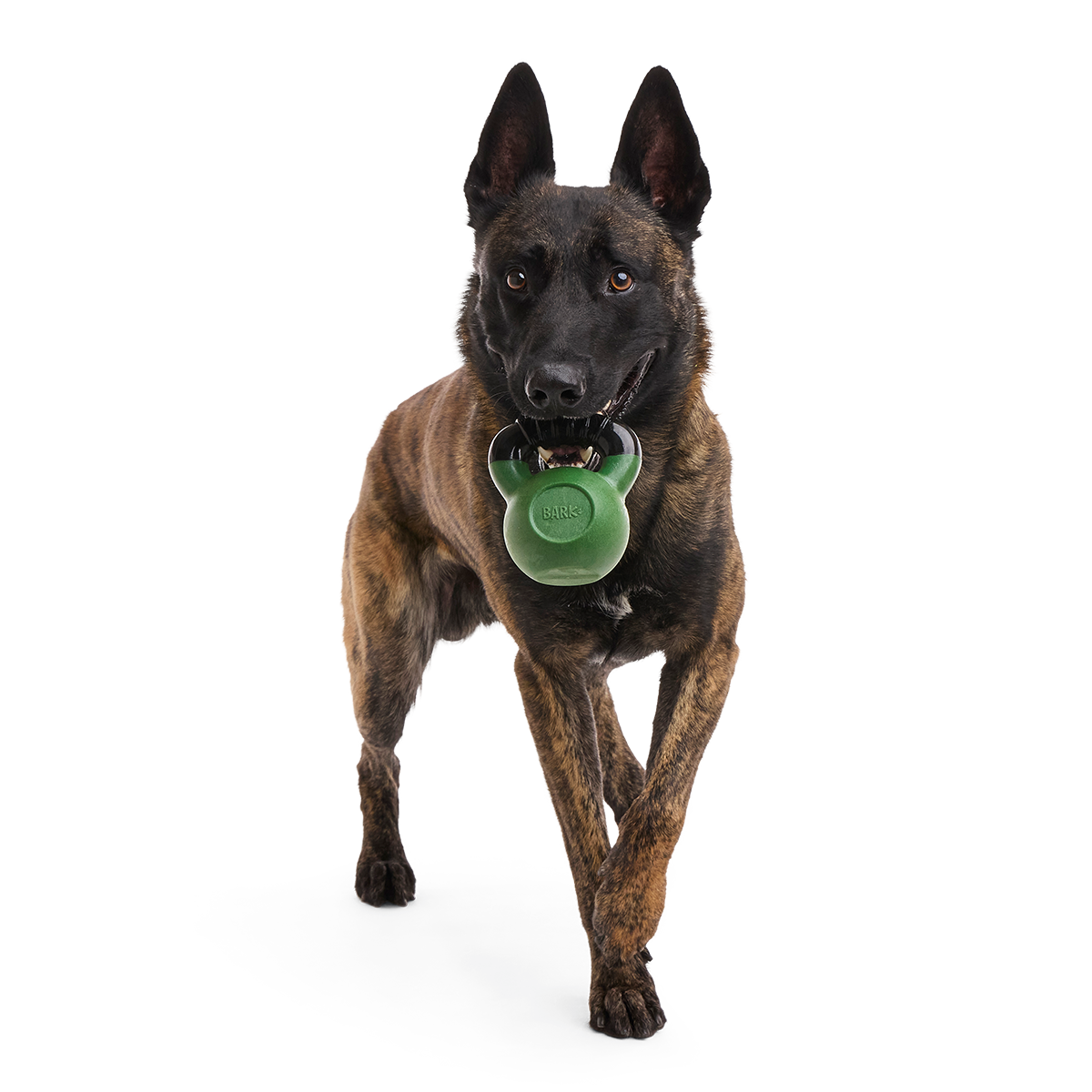 Kettlebell Dog Toy product image 2