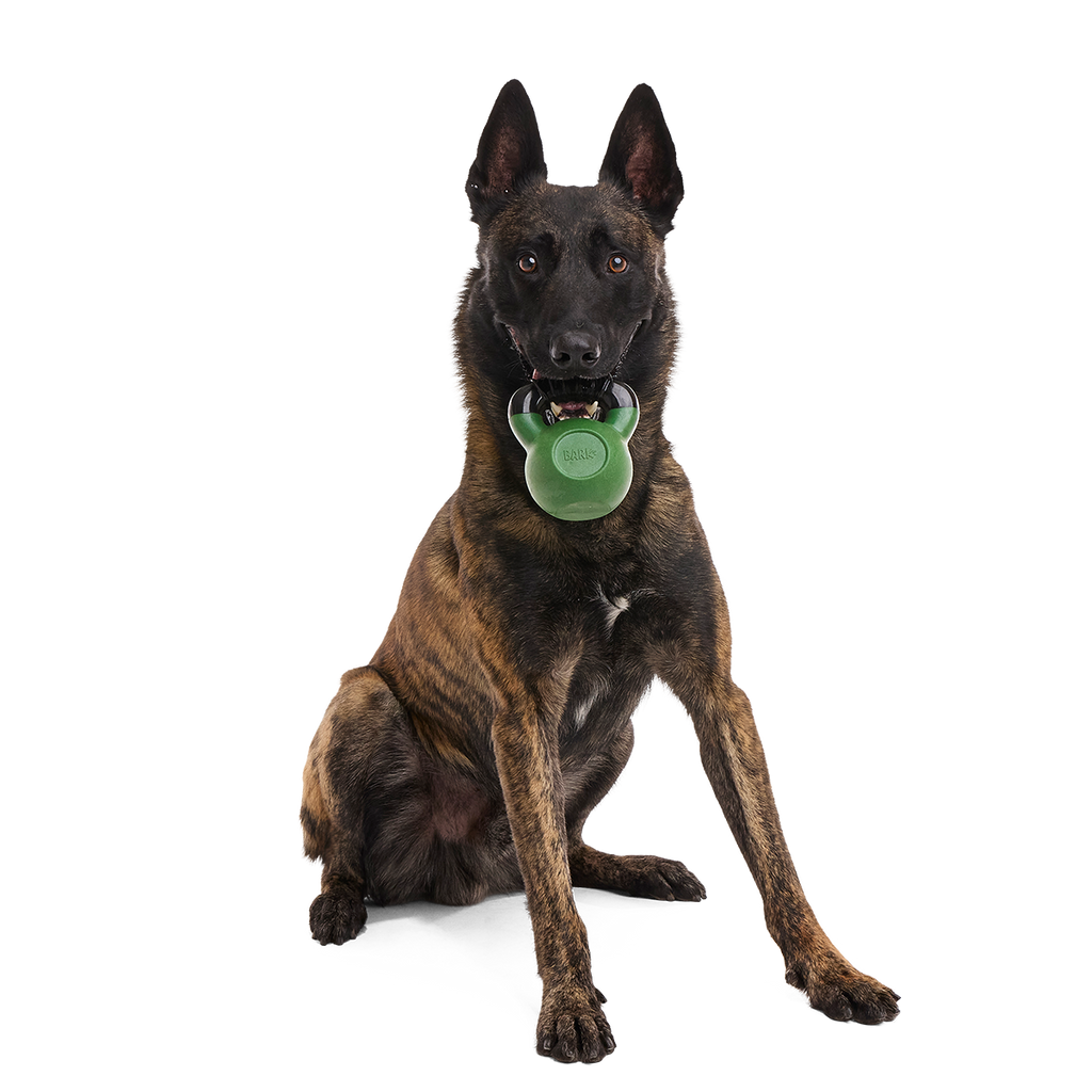 Kettlebell Dog Toy product image 3