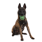 Kettlebell Dog Toy product image 3