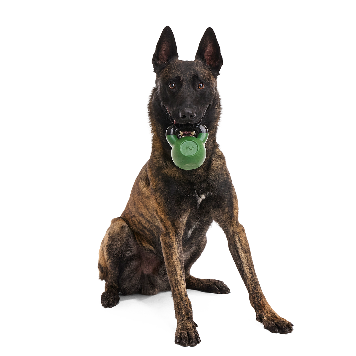 Kettlebell Dog Toy product image 3