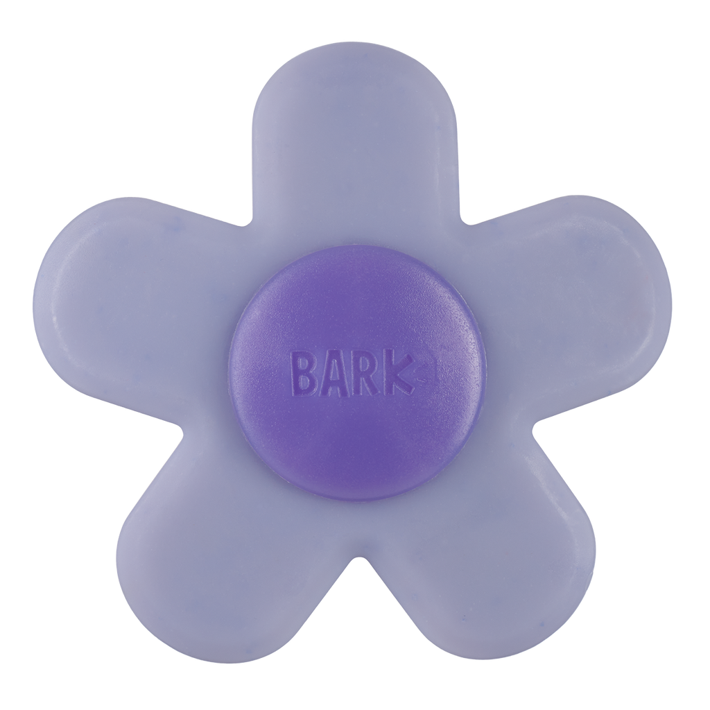 Dog Chew Toy product image 7