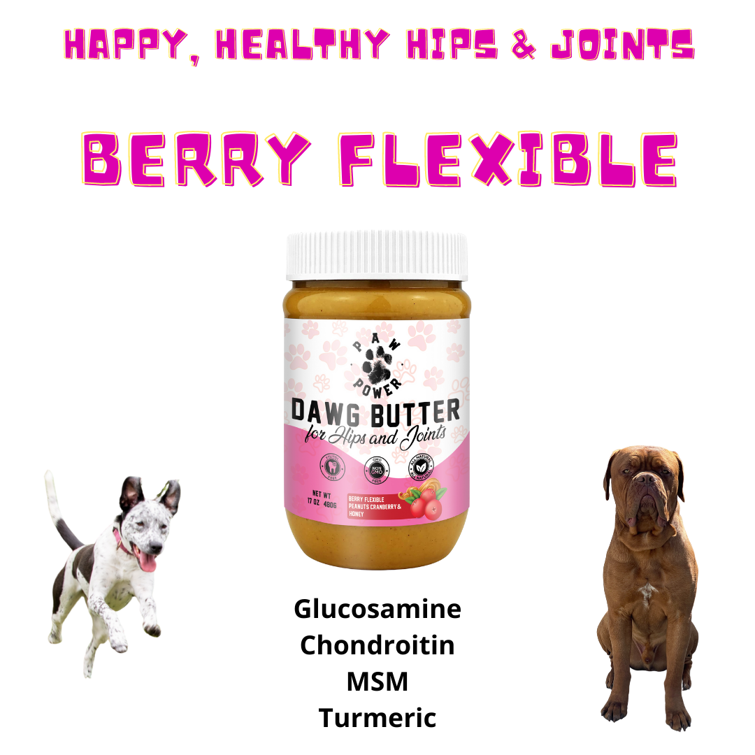 Dog Joint Supplement product image 4