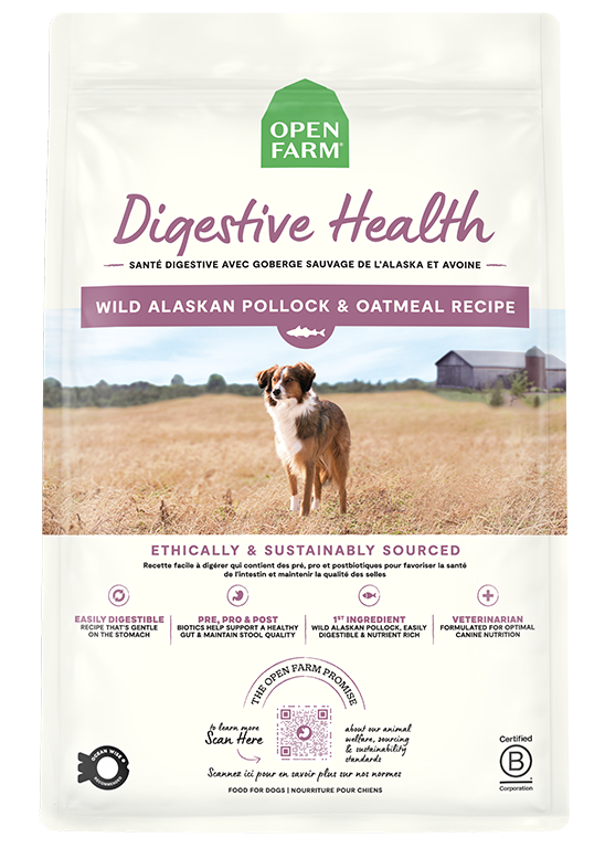 Dry Dog Food product image 1